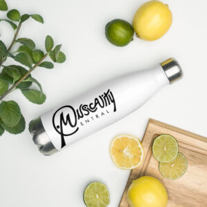 Stainless Steel Water Bottle